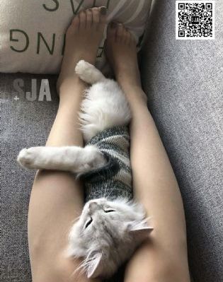 记忆中的玛妮国语版免费观看_HD在线观看